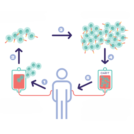 L'espoir des cellules tueuses